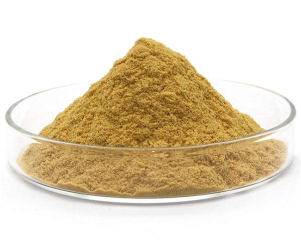 安徽聚合硫酸鐵投加混凝后污泥為何會上浮？