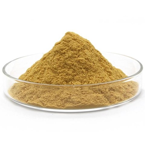 安徽聚合硫酸鐵投加混凝后污泥為何會上?。?></a>
                                </div>
                                <div   id=